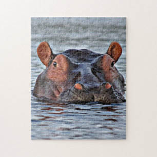 hippo legpuzzel