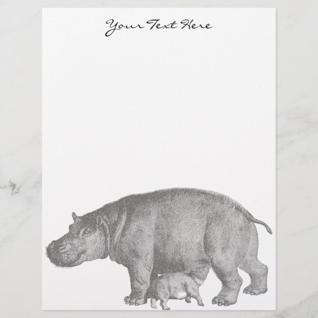  Hippo Letterhead (Voorkant)