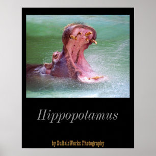 Hippo Mond Open Poster