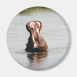 Hippo-mond (ronde of vierkante magneet) magneet