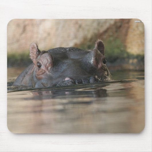 Hippo Mousepad Muismat (Voorkant)