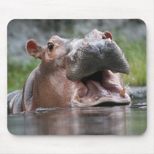 Hippo Mousepad Muismat (Voorkant)