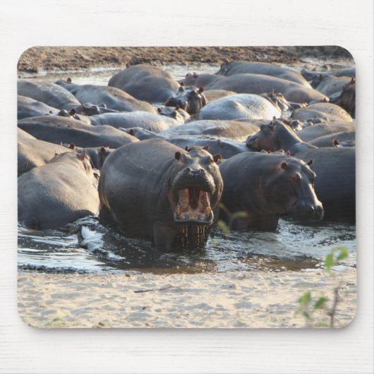 Hippo muismat (Voorkant)