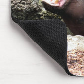 Hippo Muismat (Hoek)