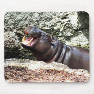 Hippo Muismat