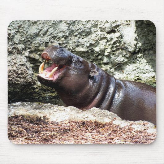 Hippo Muismat (Voorkant)