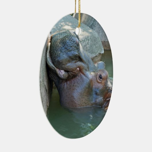 Hippo Ornament (Rechts)