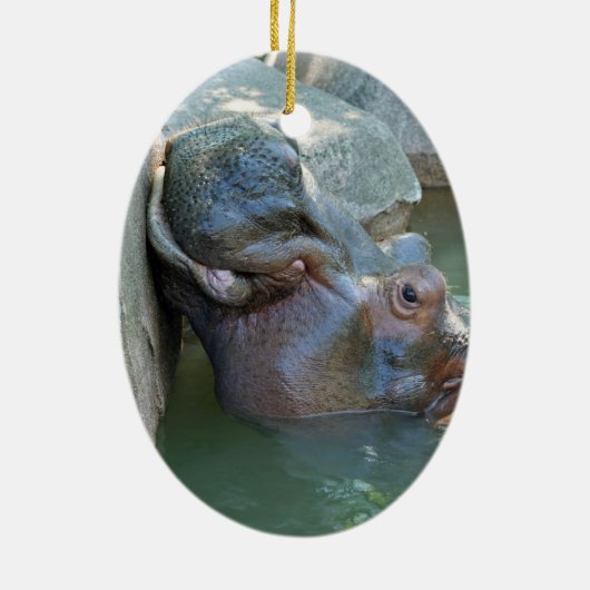 Hippo Ornament (Achterkant)