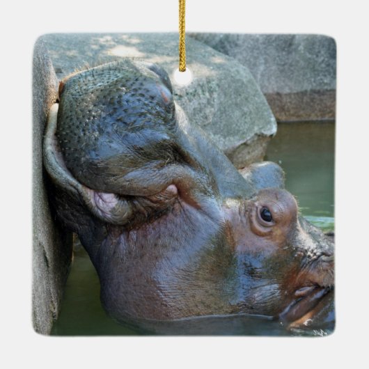 Hippo Ornament (Achterkant)