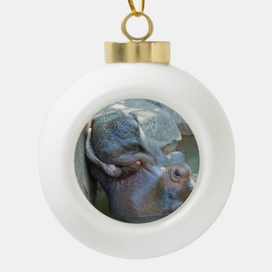Hippo Ornament (Voorkant)