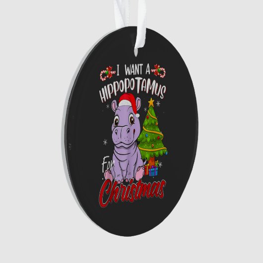  HIPPO  ORNAMENT (voorkant)