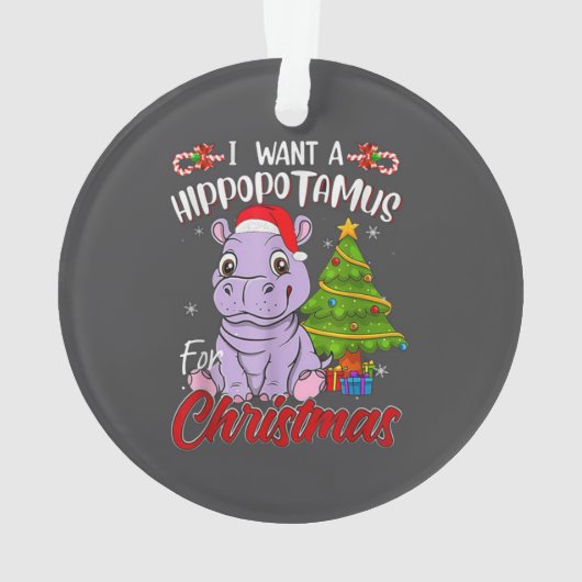  HIPPO  ORNAMENT (achterkant)