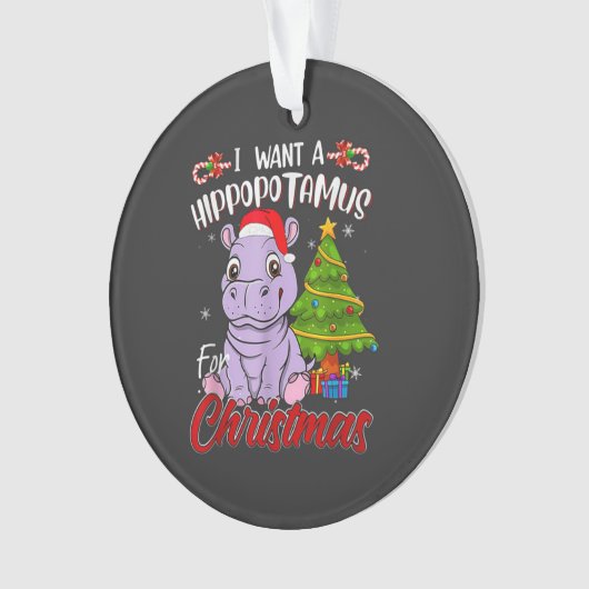  HIPPO  ORNAMENT (voorkant)