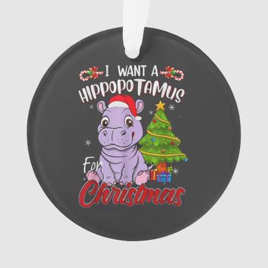  HIPPO  ORNAMENT (voorkant)