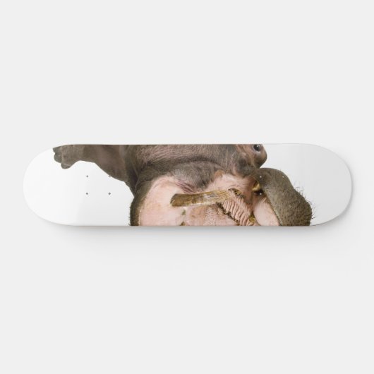 Hippo Persoonlijk Skateboard (Horizontaal)