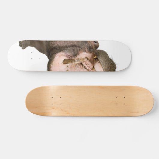Hippo Persoonlijk Skateboard (Horizontaal)