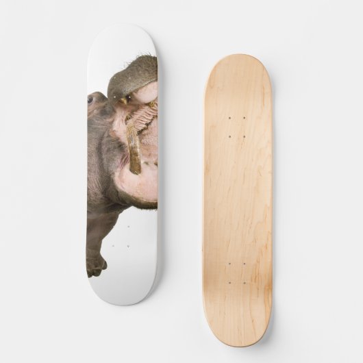 Hippo Persoonlijk Skateboard (Voorkant)