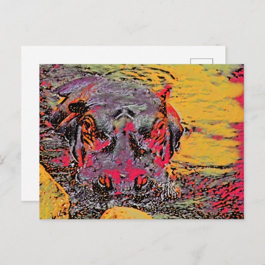 Hippo Post Kaart (Voorkant / Achterkant)