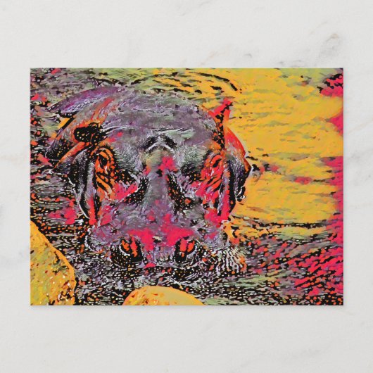 Hippo Post Kaart (Voorkant)