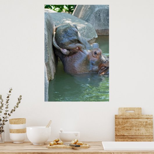 Hippo Poster (Keuken)