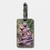 Hippo Roar, Bagagelabel (Achterkant verticaal)