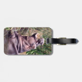 Hippo Roar, Bagagelabel (Achterkant horizontaal)