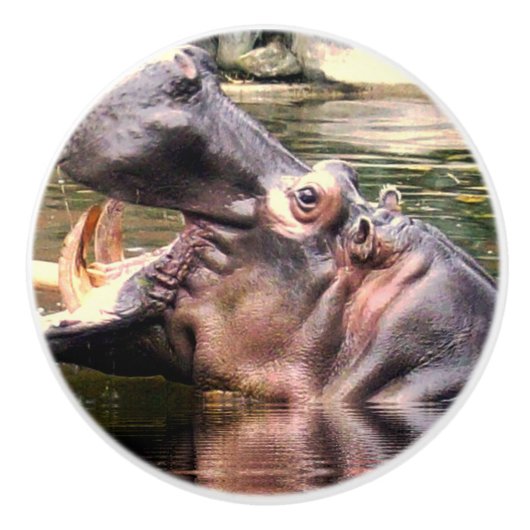 Hippo Roar Keramische Knop (Voorkant)
