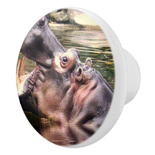 Hippo Roar Keramische Knop (Rechts)