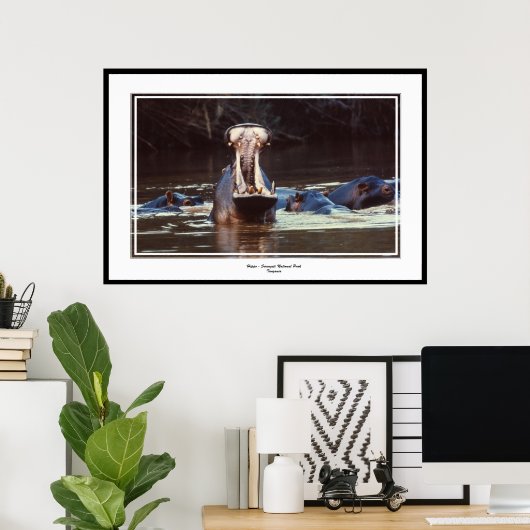 Hippo - Serentgeti Poster (Thuiskantoor)