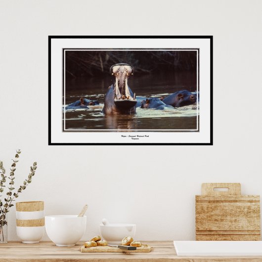 Hippo - Serentgeti Poster (Keuken)