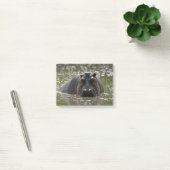 Hippo stakt een groot gevaar op camera van de rivi post-it® notes (Kantoor)