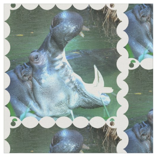 Hippo Stof (Close Up)