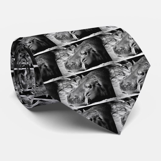 Hippo Stropdas (Opgerold)