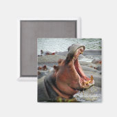 hippo yawn magneet (Voorkant / Achterkant)