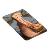 Hippo yawning, Tanzania Magneet (Rechterzijde)