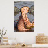 Hippo yawning, Tanzania Poster (Keuken)