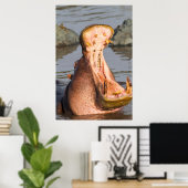 Hippo yawning, Tanzania Poster (Thuiskantoor)