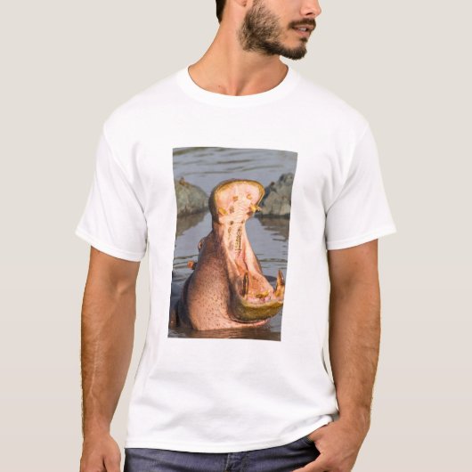 Hippo yawning, Tanzania T-shirt (Voorkant)