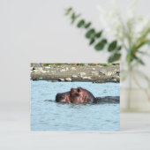 hippo zwemmen briefkaart (Staand voorkant)