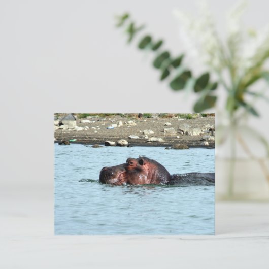 hippo zwemmen briefkaart (Staand voorkant)