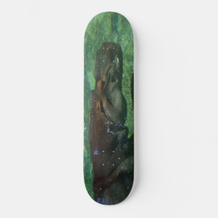 Hippo zwemmen onder water, persoonlijk skateboard