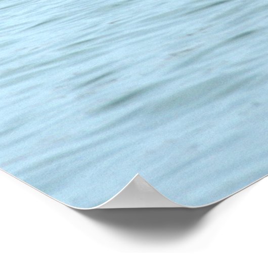 hippo zwemmen poster (Hoek)