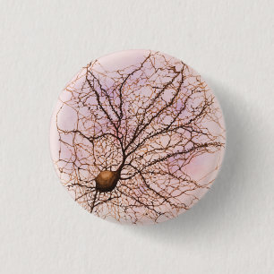 Hippocampal neuron - Button & pinnen