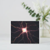 Hippocampal neuronen 2 briefkaart (Staand voorkant)