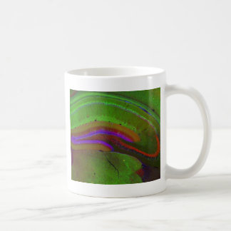 Hippocampal neuronen koffiemok