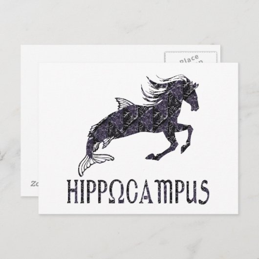 Hippocampus Briefkaart (Voorkant / Achterkant)
