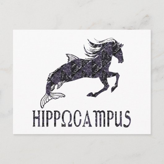 Hippocampus Briefkaart (Voorkant)