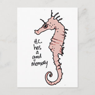 Hippocampus Briefkaart
