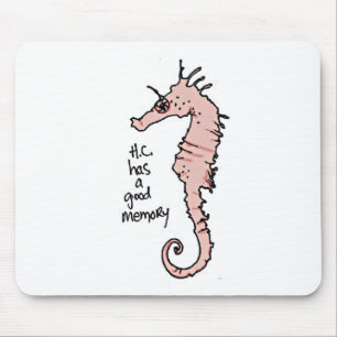 Hippocampus Muismat