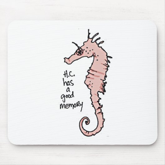 Hippocampus Muismat (Voorkant)